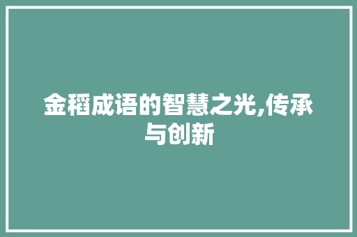 金稻成语的智慧之光,传承与创新
