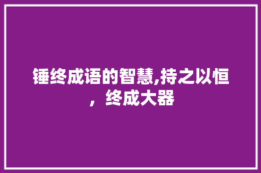 锤终成语的智慧,持之以恒，终成大器