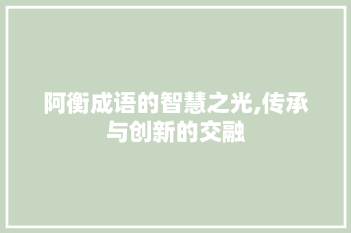 阿衡成语的智慧之光,传承与创新的交融