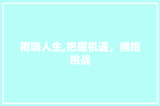 雨嗨人生,把握机遇，拥抱挑战