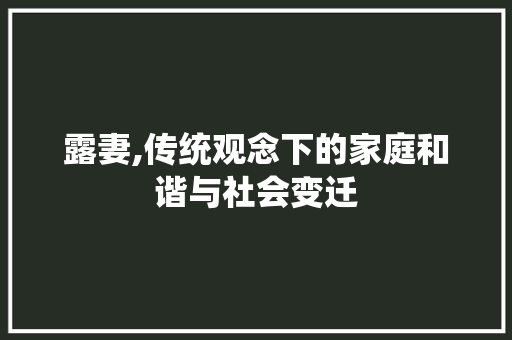露妻,传统观念下的家庭和谐与社会变迁