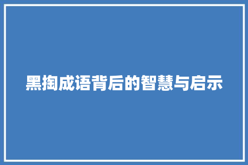 黑掏成语背后的智慧与启示