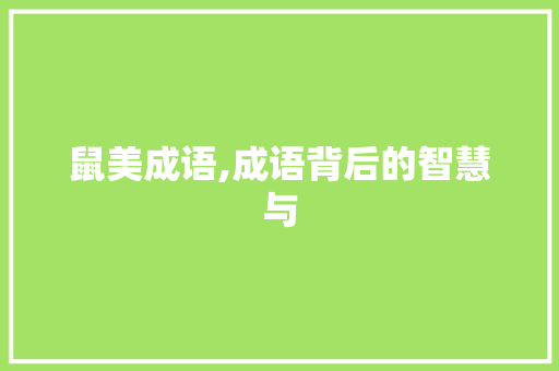 鼠美成语,成语背后的智慧与