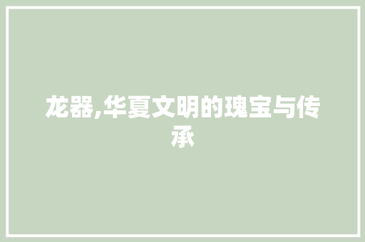 龙器,华夏文明的瑰宝与传承