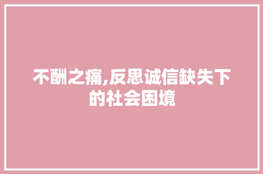 不酬之痛,反思诚信缺失下的社会困境