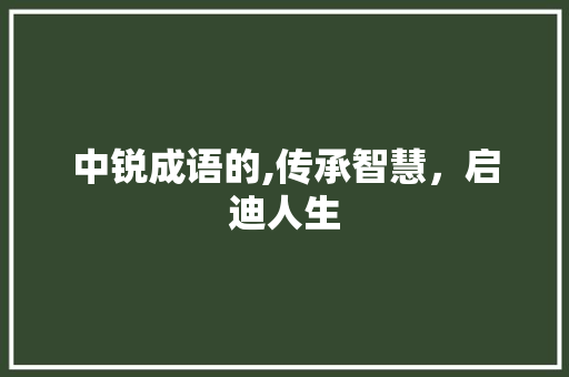 中锐成语的,传承智慧，启迪人生
