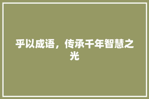 乎以成语，传承千年智慧之光 职场写作