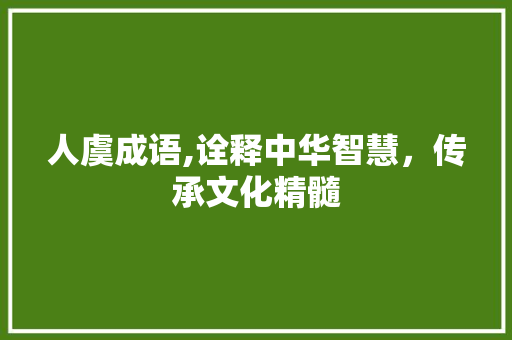 人虞成语,诠释中华智慧，传承文化精髓 项目报告