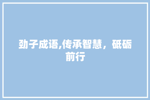 劲子成语,传承智慧，砥砺前行