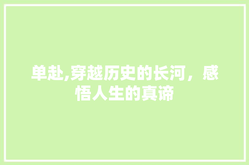 单赴,穿越历史的长河，感悟人生的真谛