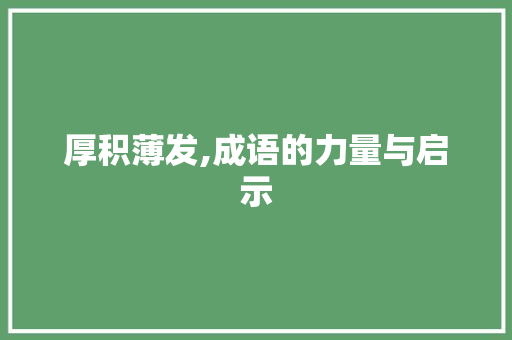 厚积薄发,成语的力量与启示