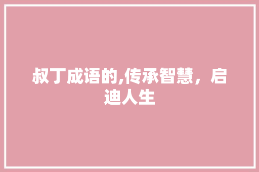 叔丁成语的,传承智慧，启迪人生