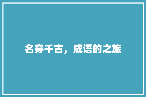 名穿千古，成语的之旅 社交媒体