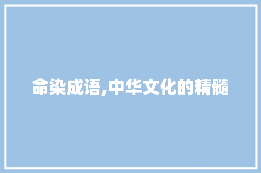 命染成语,中华文化的精髓 诗词鉴赏