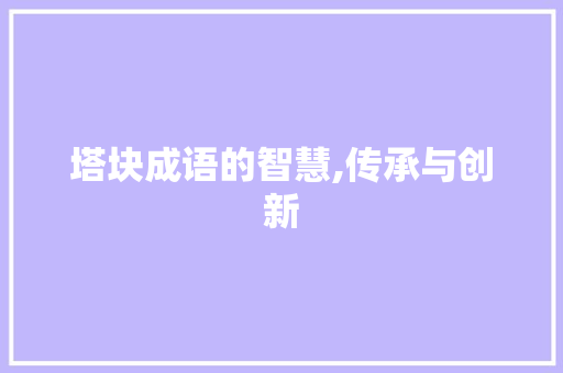 塔块成语的智慧,传承与创新