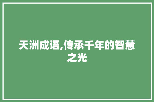 天洲成语,传承千年的智慧之光