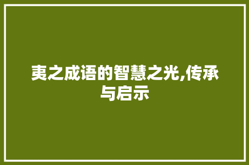 夷之成语的智慧之光,传承与启示