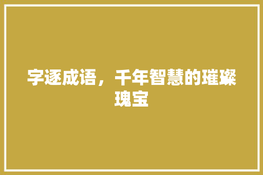 字逐成语，千年智慧的璀璨瑰宝