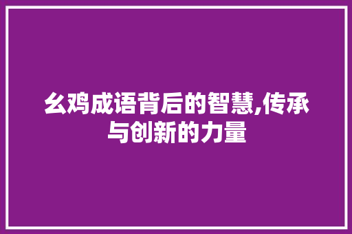幺鸡成语背后的智慧,传承与创新的力量 项目报告