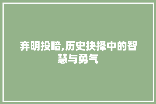 弃明投暗,历史抉择中的智慧与勇气 社交媒体