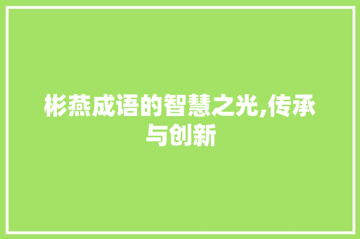 彬燕成语的智慧之光,传承与创新 工作总结