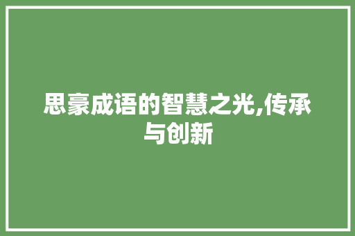 思豪成语的智慧之光,传承与创新