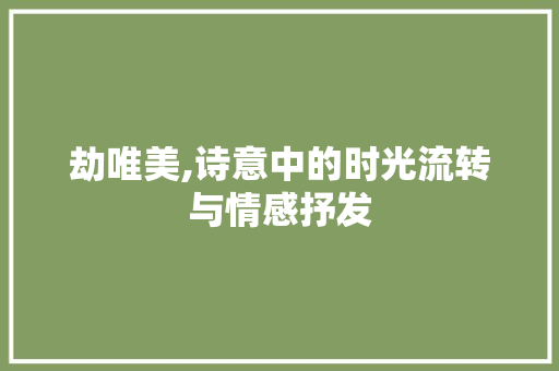 劫唯美,诗意中的时光流转与情感抒发 项目报告