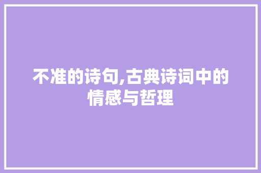 不准的诗句,古典诗词中的情感与哲理