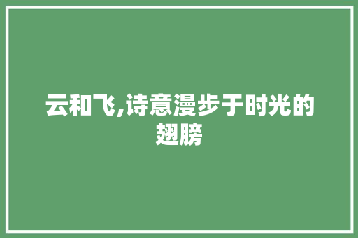 云和飞,诗意漫步于时光的翅膀