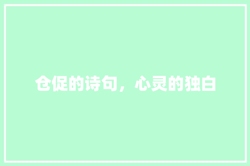 仓促的诗句，心灵的独白 工作总结