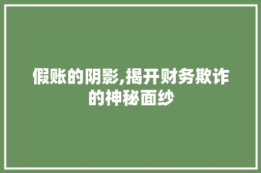 假账的阴影,揭开财务欺诈的神秘面纱