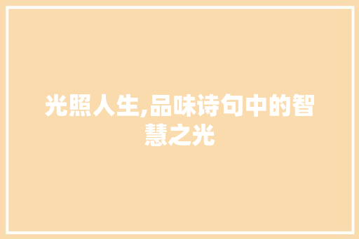 光照人生,品味诗句中的智慧之光