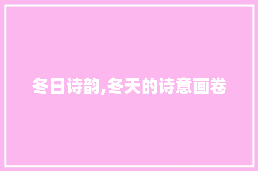 冬日诗韵,冬天的诗意画卷