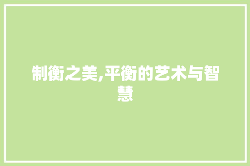 制衡之美,平衡的艺术与智慧