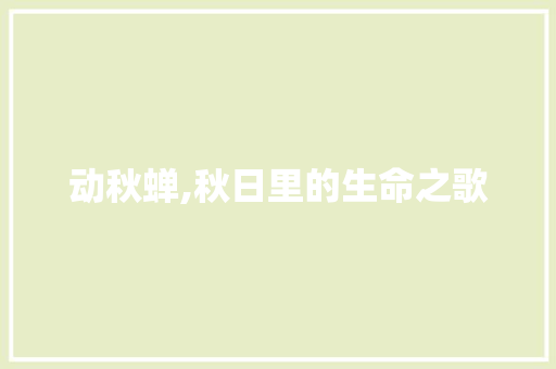 动秋蝉,秋日里的生命之歌