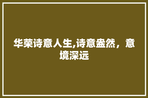 华荣诗意人生,诗意盎然，意境深远
