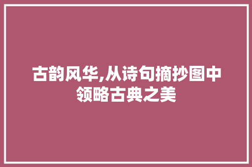 古韵风华,从诗句摘抄图中领略古典之美