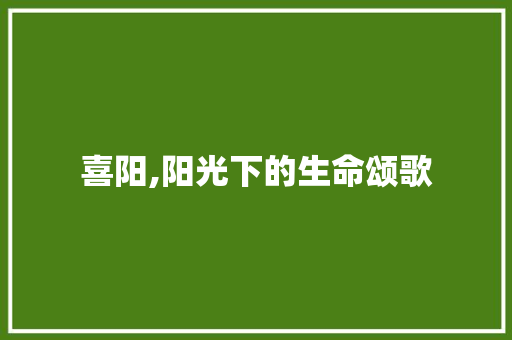 喜阳,阳光下的生命颂歌