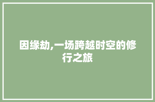 因缘劫,一场跨越时空的修行之旅