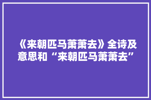 《来朝匹马萧萧去》全诗及意思和“来朝匹马萧萧去”的拼音注释
