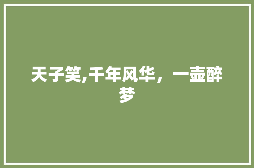 天子笑,千年风华，一壶醉梦