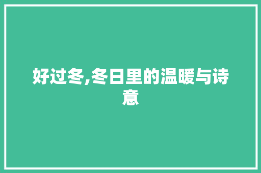 好过冬,冬日里的温暖与诗意