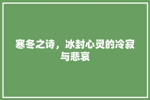 寒冬之诗，冰封心灵的冷寂与悲哀 会议纪要