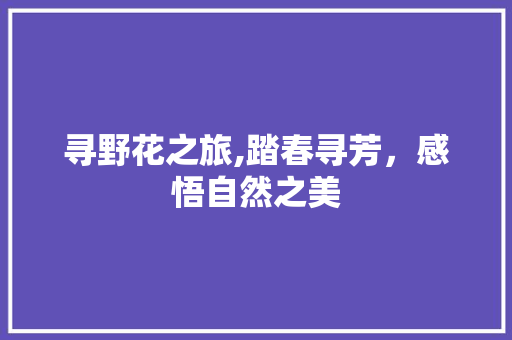 寻野花之旅,踏春寻芳，感悟自然之美
