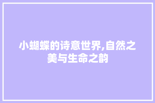 小蝴蝶的诗意世界,自然之美与生命之韵