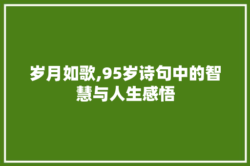 岁月如歌,95岁诗句中的智慧与人生感悟