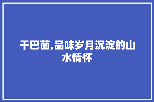 干巴菌,品味岁月沉淀的山水情怀