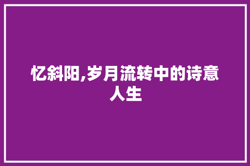 忆斜阳,岁月流转中的诗意人生