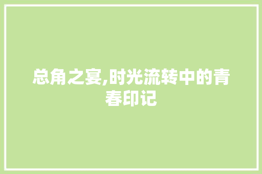 总角之宴,时光流转中的青春印记