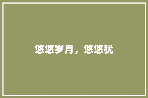 悠悠岁月，悠悠犹